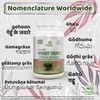 Wheat Grass Capsule