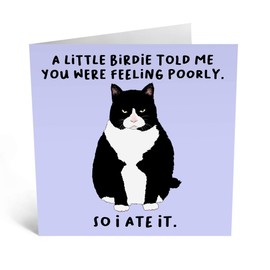 Central 23 - Funny Get Well Soon Card For Her Him - 'A Little Birdie Feeling Poorly' - Cheer Up Gifts For Women Men - Cat Greeting Cards Sympathy Memorial Thinking Of You - Comes With Fun Stickers