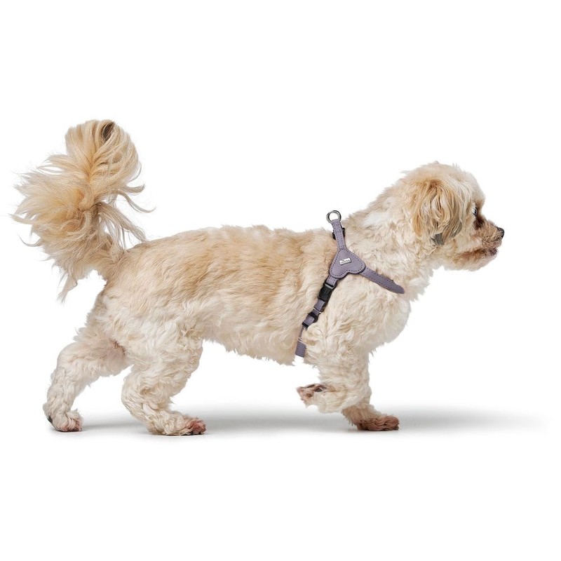 HUNTER SOHO Mini Dog Harness, Colour: Light Blue, Cowhide Leather,