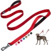 Fida Leash for Dogs, Long Lead, 2 Handles, Soft Pad,