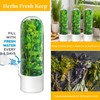 ProFreshion Herb Keeper - 3-in-1 Refrigerator Storage Container with Humidity