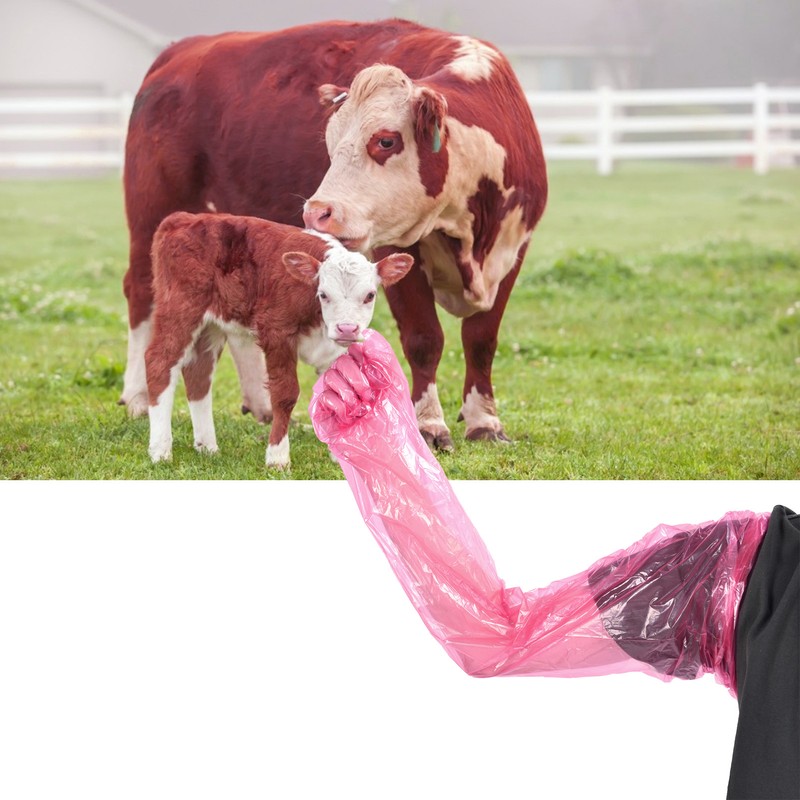 100Pcs Long Arm Disposable Plastic Gloves Safe Reliable Multipurpose Veterinary