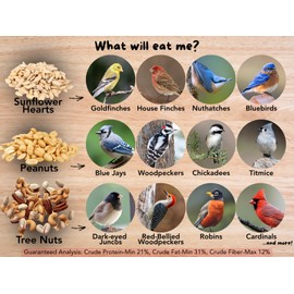 JCs Wildlife Just The Meat 20lb Loose Seed Bag