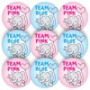 Stone Melon Gender Reveal Baby Shower Stickers 144 Team Blue