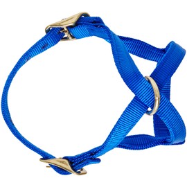Perri's Mini Nylon Cow Halter, Royal Blue, Size 0