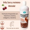 Shampoo Zaire Con Biotina Keratina Y Colágeno (2 Pack)