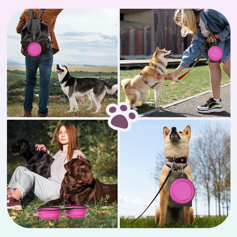 Pawaboo 2-in-1 Collapsible Dog Bowls, Dual Puppy Food and Water