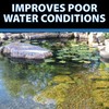 CrystalClear BioClarifier Small Pond & Water Garden Clarifier & Cleaner,