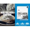 Levels Collagen Peptides, No Artificial Ingredients, 11G of Collagen, Unflavored,
