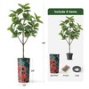 Artificial Tree in Modern Mandala Pattern Planter, Fake Rubber Silk