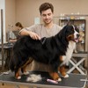 2-Piece Pet Grooming Set Undercoat Brush Dog Undercoat Brush for