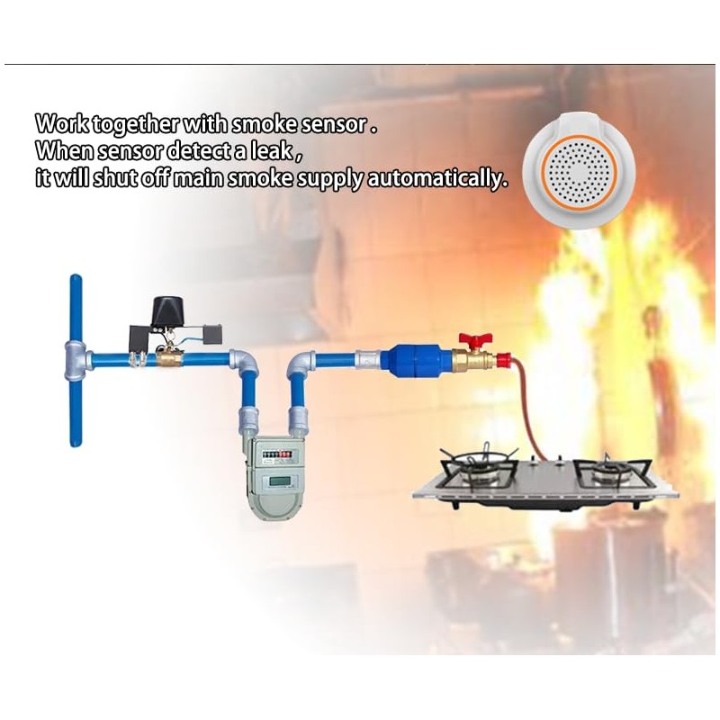 Z-Wave Plus Water/Gas Valve