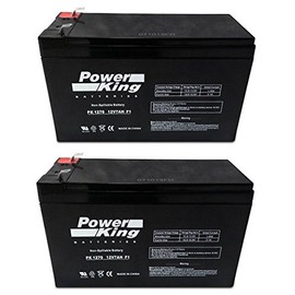 Liftmaster K74-30762 (2) Batteries Beiter DC Power