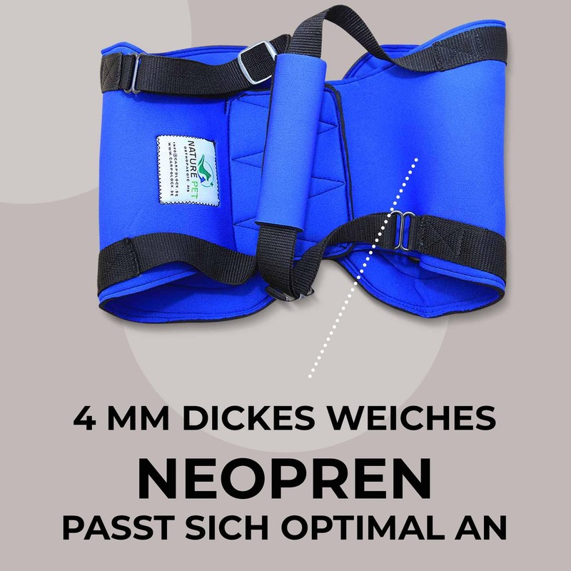 Nature Pet Dog Carry Aid Rear / Dog Walking Aid