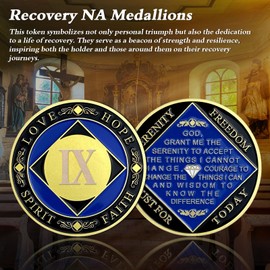 9 Year NA Medallions - Recovery Narcotics Anonymous Chips - Nine Year Living Clean Sobriety Coin - (Years 1-30) Journey Celebrate Recovery Addicts - Narcotics Anonymous Gifts for Men Women