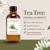 Tea Tree – 4 fl oz (118 ml) Glass Bottle