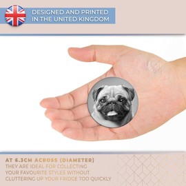 Destination Vinyl ltd Magnet for Refrigerator, Fridge BW - Cute Pug Dog Puppy Funny Animal for Office, Cabinet and Whiteboard, Magnetic Stickers, 43408