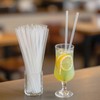 Disposable beverage straw[200 Count] 10.24 Inch Coffee & Cocktail Stirrers/Straws