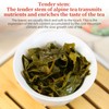 XIXICHA High Mountain Tea Oolong Tea Loose Leaf Grade AAA