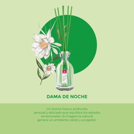 Cristalinas 10010902 Air Freshener, Night Jasmine, Glass, Green, 9 x 6.5 x 27 cm