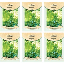 Set of 6 Vegetable Seed Packs - Create a Deluxe Garden - All Seeds are Heirloom - 100% Non-GMO (Collards Champion)