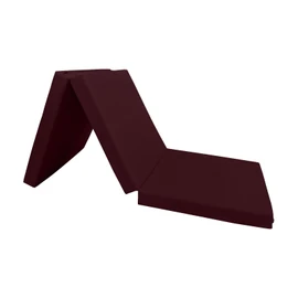 Danfuton Burgundy Trifold Foam Beds, Shikibuton Foldable Ottoman Mat Sit Sleep 3x27x75