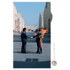 NMR/Aquarius Pink Floyd Wish You were Here Poster