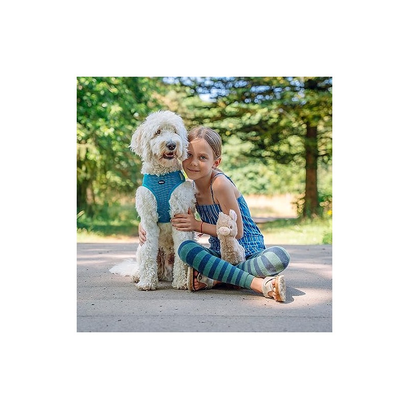 Nobby 80625-81 Mesh Harness with Reflective Stripe, Small, Grey