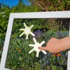FlyEx Grömitzer Sun Magnets Instead of Stickers for Fly Screen