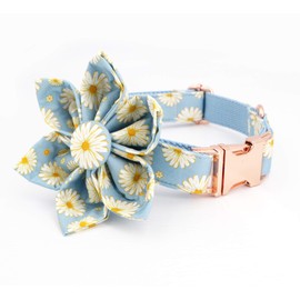 Free Sunday Daisy Dog Collar with Flower,Light Blue Daisy Dog Flower Collar, Girl Dog Collar (XS)