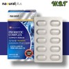 Lactic Acid Bacteria Mixed Lactobacillus Synbiotics 60 Capsules / 백억유산균