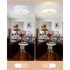 VICNIE 2-Light Flush Mount Ceiling Light, 12 inch Modern Ceiling