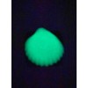 Sea Shell in 3D - Black with White Glow in