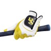 REZAX Golf Glove Fukuoka Softbank Hawks One Size Golf Glove