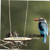 BESPORTBLE Flower Shape Bird Feeder Large Capacity Outdoor Swing Feeder