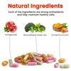 Orignal Super POMI 10X Prostate Supplements for Men - Herbal