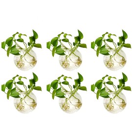 NUPTIO - Macetero para colgar en la pared, 6 unidades