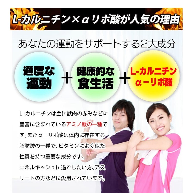 L-カルニチン×α-リポ酸 ダブル配合 60粒 3袋セット 計180粒 約3ヶ月分 2粒あたり Lカルニチン 141.25mg配合