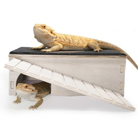 Gxsdj Large Bearded Dragon Basking Platform,Wooden Reptile Hide Cave with Slate Rock Climbing Ramp Tank Accessories for Leopard Geckos,Lizard,Snake,Tortoise