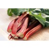 RAISE ME UP: Seeds Rhubarb Victoria Giant Red Stalk Non