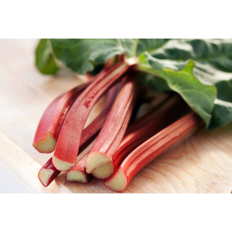 RAISE ME UP: Seeds Rhubarb Victoria Giant Red Stalk Non