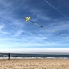 Kaiciuss Huge Delta Kite for Adults Easy to Fly, 8.2