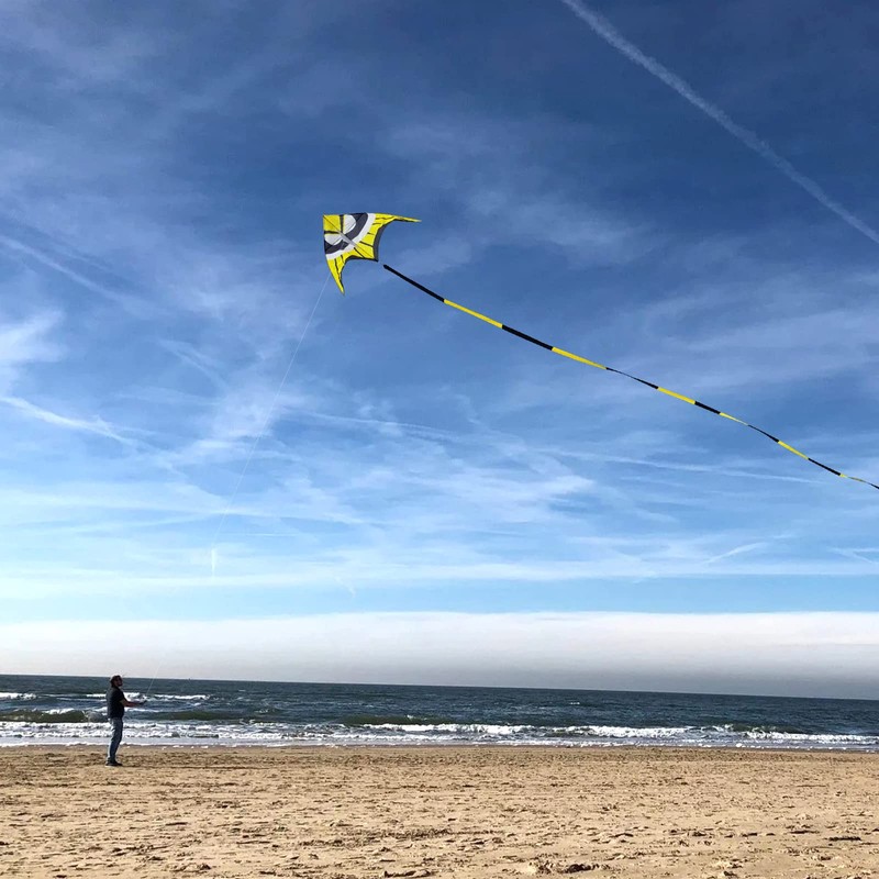 Kaiciuss Huge Delta Kite for Adults Easy to Fly, 8.2