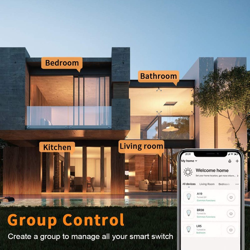 Alexa Light Switch, Double Smart WiFi Light Switches, Smart Switch