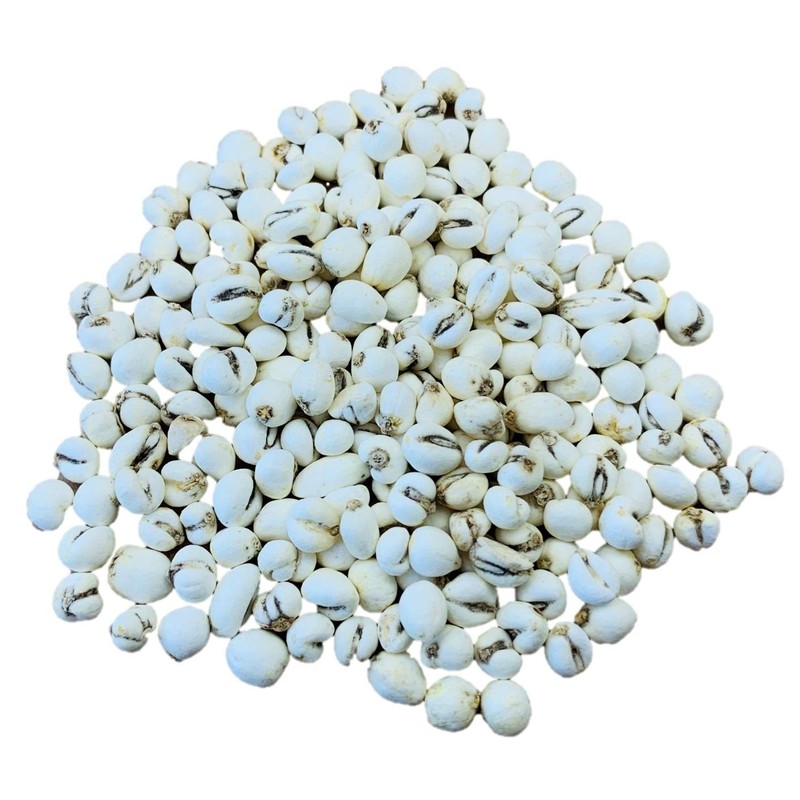 Dried Herb Wild Chuan Bei Mu, Fritillary Bulb (4oz)