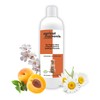 Apricot Chamomile Pet Shampoo for Dogs & Cats 16 oz.