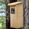 Mounted Downy Woodpecker Bird Nest House – Handcrafted in USA