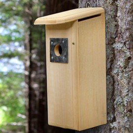 Mounted Downy Woodpecker Bird Nest House – Handcrafted in USA with Eastern White Pine – Slate Squirrel Guard, Wood Chips & Winter Roost Box – Durable Outdoor Birdhouse, 15.5"x6"x8.5"
