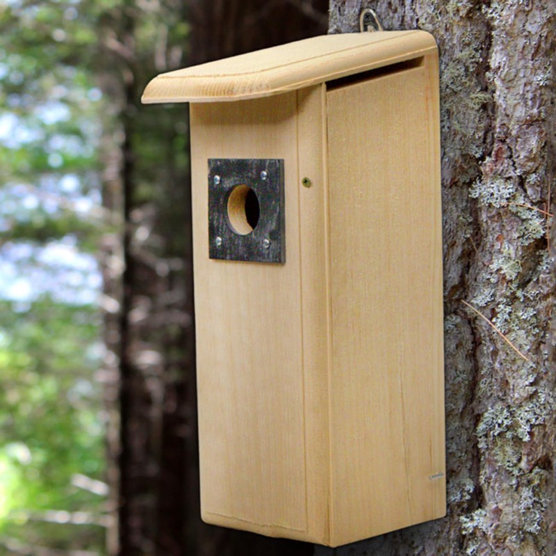 Mounted Downy Woodpecker Bird Nest House – Handcrafted in USA