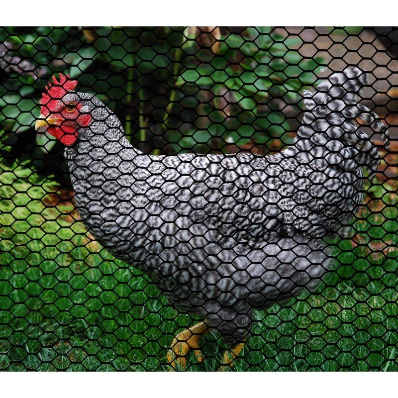 Boen - Plastic Hex Chicken Wire Mesh Temporary Fence Roll